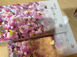 桜の通り抜け2022年貨幣セットなど複数点